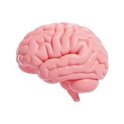 3D Pink Brain Icon - Neuroscience & Medical Illustration