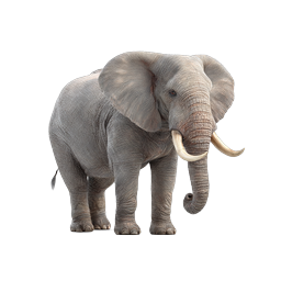 Realistic African Elephant Icon - Wildlife Animal Illustration