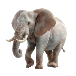 Realistic African Elephant Icon - Wildlife Safari Animal