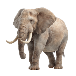 Realistic African Elephant 3D Icon | Wildlife Animal Render