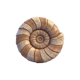Ammonite Fossil Shell Spiral Icon - Realistic 3D