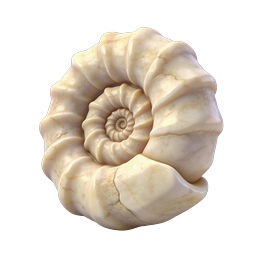 Ammonite Fossil Icon - Realistic 3D Spiral Shell