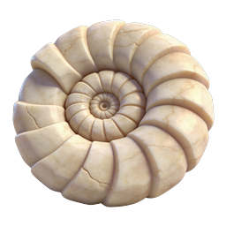 Ammonite Fossil Spiral Icon - Realistic Marble Shell