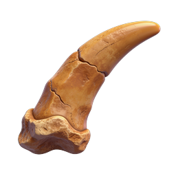 Realistic 3D Anatomical Bone Model for Medical Use