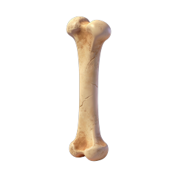 Realistic 3D Bone Icon for Anatomy & Science