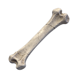 Realistic Ancient Bone Icon - 3D Rendered Skeletal Asset