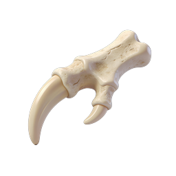 Realistic Animal Claw 3D Icon - Bone Texture
