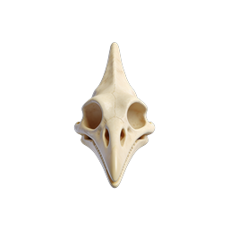 3D-Tierschädel-Icon - Realistische Knochen-Darstellung für Apps