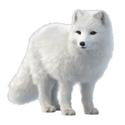 リアルなホッキョクギツネのアイコン - 見事な 3D 野生動物デザイン