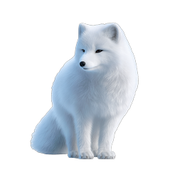 Icône de renard polaire - Illustration réaliste de renard blanc sauvage