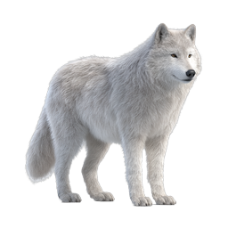 Realistic White Arctic Wolf Icon - Majestic Wildlife Illustration