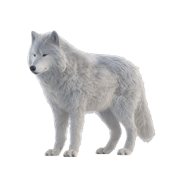 Realistic Arctic White Wolf Icon | Wildlife Animal Illustration