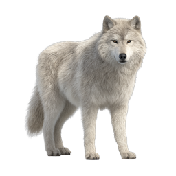 Realistic Arctic Wolf Icon - Photorealistic White Wolf