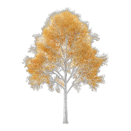 Autumn Birch Tree Icon - Golden Fall Foliage