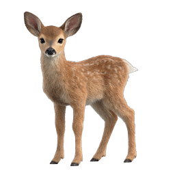 Realistic Baby Deer Fawn Wildlife Icon - Cute Forest Animal