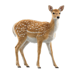 Realistic Baby Fawn Deer Icon - Spotted Wildlife