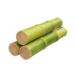 Fresh Bamboo Stalks Icon - Natural Plant Illustration