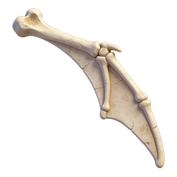 Realistisches 3D-Icon der Fledermausflügel-Skelettanatomie