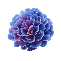 Blue Peony Flower Icon - Realistic Floral Design