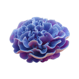 Blue Purple Peony Flower Icon - Realistic 3D Render
