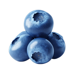 Fresh Blueberry Cluster Icon - Realistic Berry Illustration