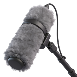 Professional Boom Microphone with Windscreen Icon