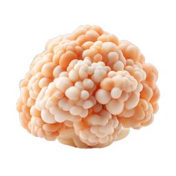 Stylized 3D Brain Icon | Clay-Style Medical Illustration