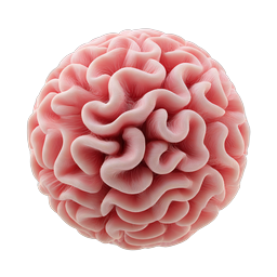 3D Pink Brain Sphere Anatomy Icon for Medical Use