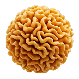 Brain Coral Sphere 3D Rendered Organic Icon