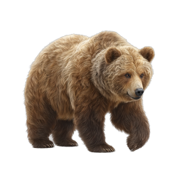 Realistic Brown Bear Wildlife Icon - Grizzly Bear