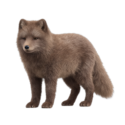 Realistic Brown Bear Wildlife Icon | 3D Rendered Animal