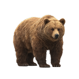 Realistic Brown Bear Wildlife Icon | Nature Animal Design