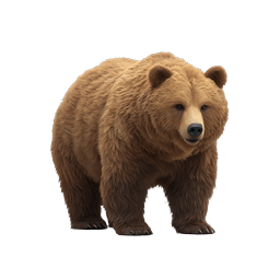 Realistic Brown Bear 3D Wildlife Icon | Premium Nature Asset