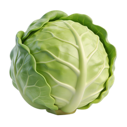 Fresh Cabbage Icon for Healthy Eating Themes