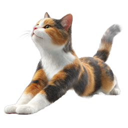 Realistic Calico Cat Stretch Icon - Tri-Color Feline