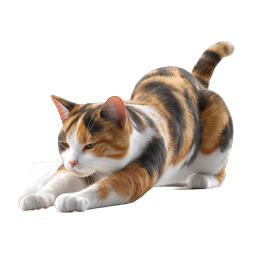 Realistic Calico Cat Stretching Icon | Pet Animal Design