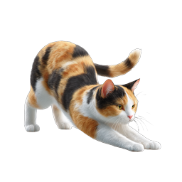 Calico Cat Stretching Icon - Realistic Feline Illustration