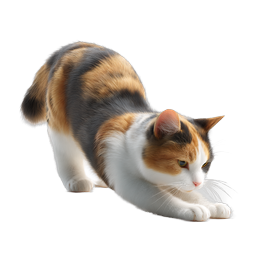 Calico Cat Stretching Realistic Pet Illustration