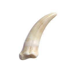 3D Canine Tooth Dental Icon - Realistic Tooth Illustration