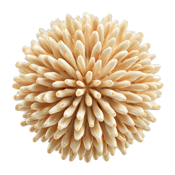 3D Chrysanthemum Flower Icon - Cream Botanical Design