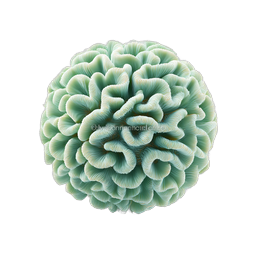 Realistic Coral Anemone 3D Sphere Icon - Marine Life