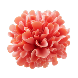 Coral Bloom Flower 3D Icon - Elegant Botanical Design