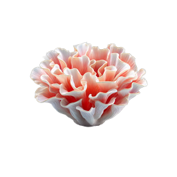 Coral Flower Bloom Realistic 3D Icon
