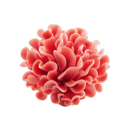 Coral Flower Realistic 3D Icon - Vibrant Nature Design