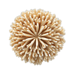 Coral Fungus Realistic 3D Icon - Organic Nature Element