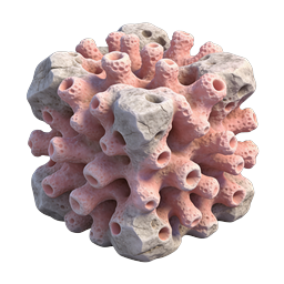 Realistic 3D Coral Reef Icon | Marine Life Illustration