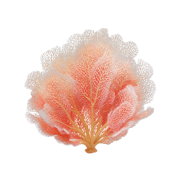 Detailed Coral Reef Sea Fan Icon | Marine Life
