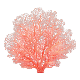 Pink Coral Sea Fan Icon - Realistic Marine Life