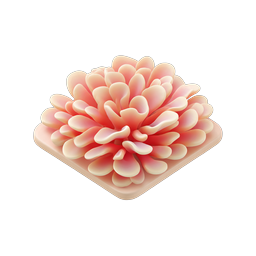 Coral Succulent Plant 3D Clay Icon for Design