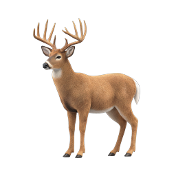 Realistic Deer Buck Wildlife Icon with Antlers